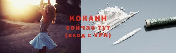 амф Зерноград