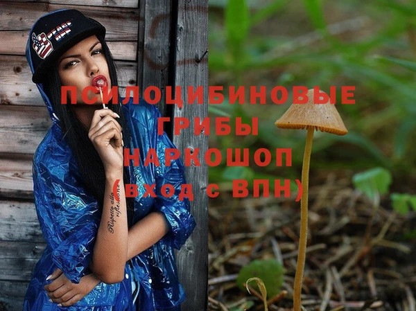 амф Зерноград