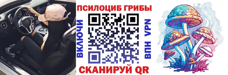 Купить  Никольск  Псилоцибиновые грибы мицелий 